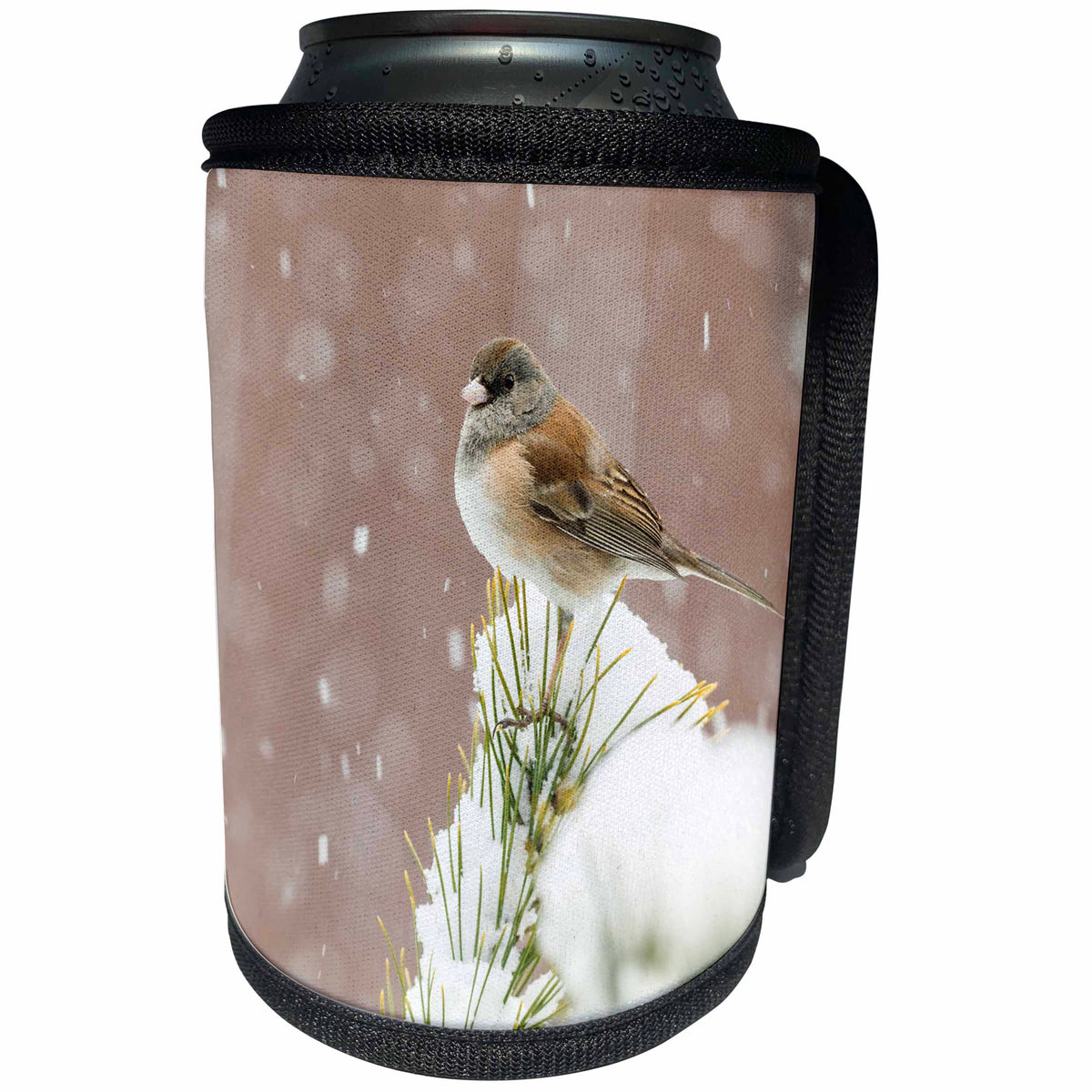 3dRose Danita Delimont - Bridges - USA, Oregon, Keizer, Dark-eyed Junco in snow in backyard. - Can Cooler Bottle Wrap (cc_231520)