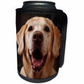 3dRose Danita Delimont - Dogs - USA, Oregon, Labrador Retriever. - Can Cooler Bottle Wrap (cc_231525)