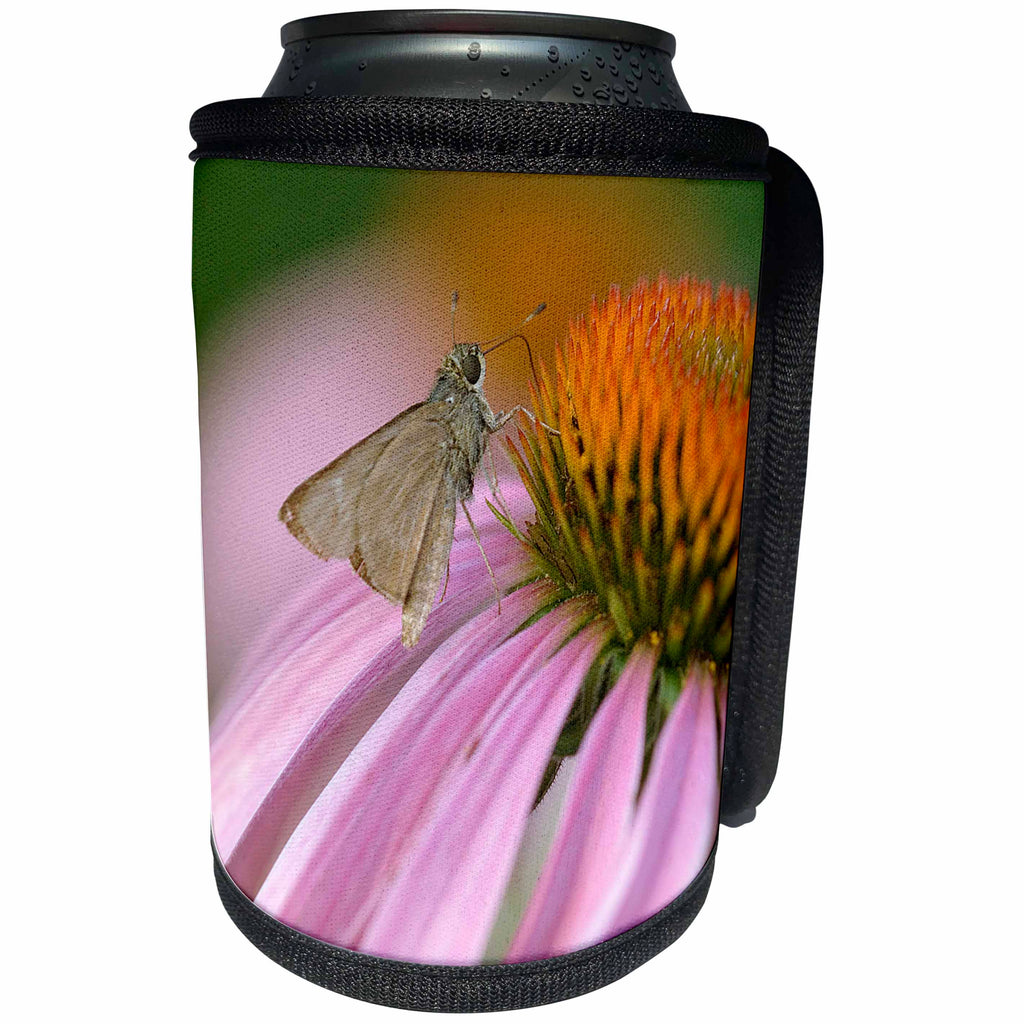 3dRose Danita Delimont - Butterfly - USA, Pennsylvania. Skipper butterfly on cone flower. - Can Cooler Bottle Wrap (cc_231537)