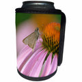 3dRose Danita Delimont - Butterfly - USA, Pennsylvania. Skipper butterfly on cone flower. - Can Cooler Bottle Wrap (cc_231537)