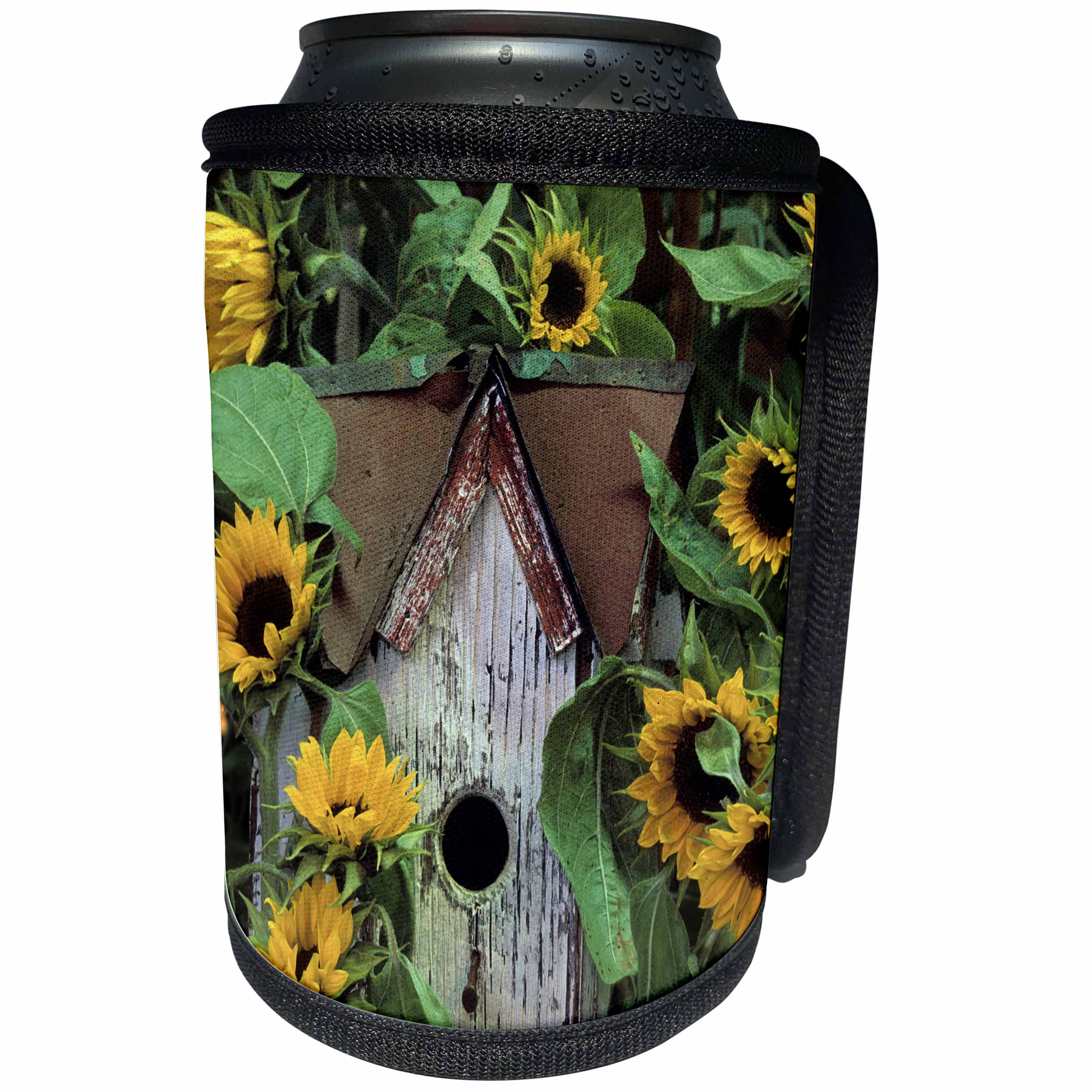3dRose Danita Delimont - Flowers - USA, Pennsylvania. Birdhouse and garden sunflowers. - Can Cooler Bottle Wrap (cc_231544)