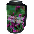 3dRose Danita Delimont - Autumn - USA, Pennsylvania. Dragonfly on Joe-Pye weed. - Can Cooler Bottle Wrap (cc_231545)