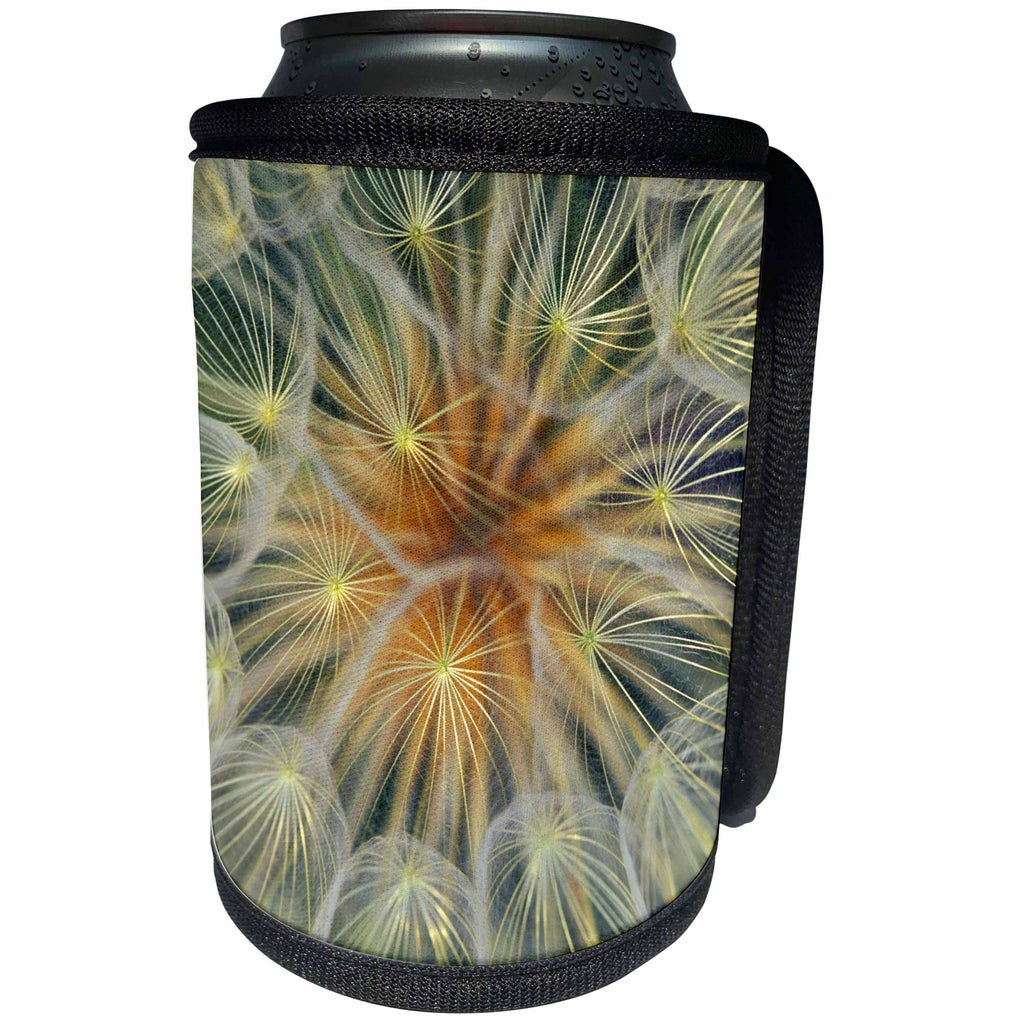 3dRose Danita Delimont - Abstract - USA, Pennsylvania. Dandelion seedhead close-up. - Can Cooler Bottle Wrap (cc_231549)