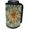 3dRose Danita Delimont - Abstract - USA, Pennsylvania. Dandelion seedhead close-up. - Can Cooler Bottle Wrap (cc_231549)