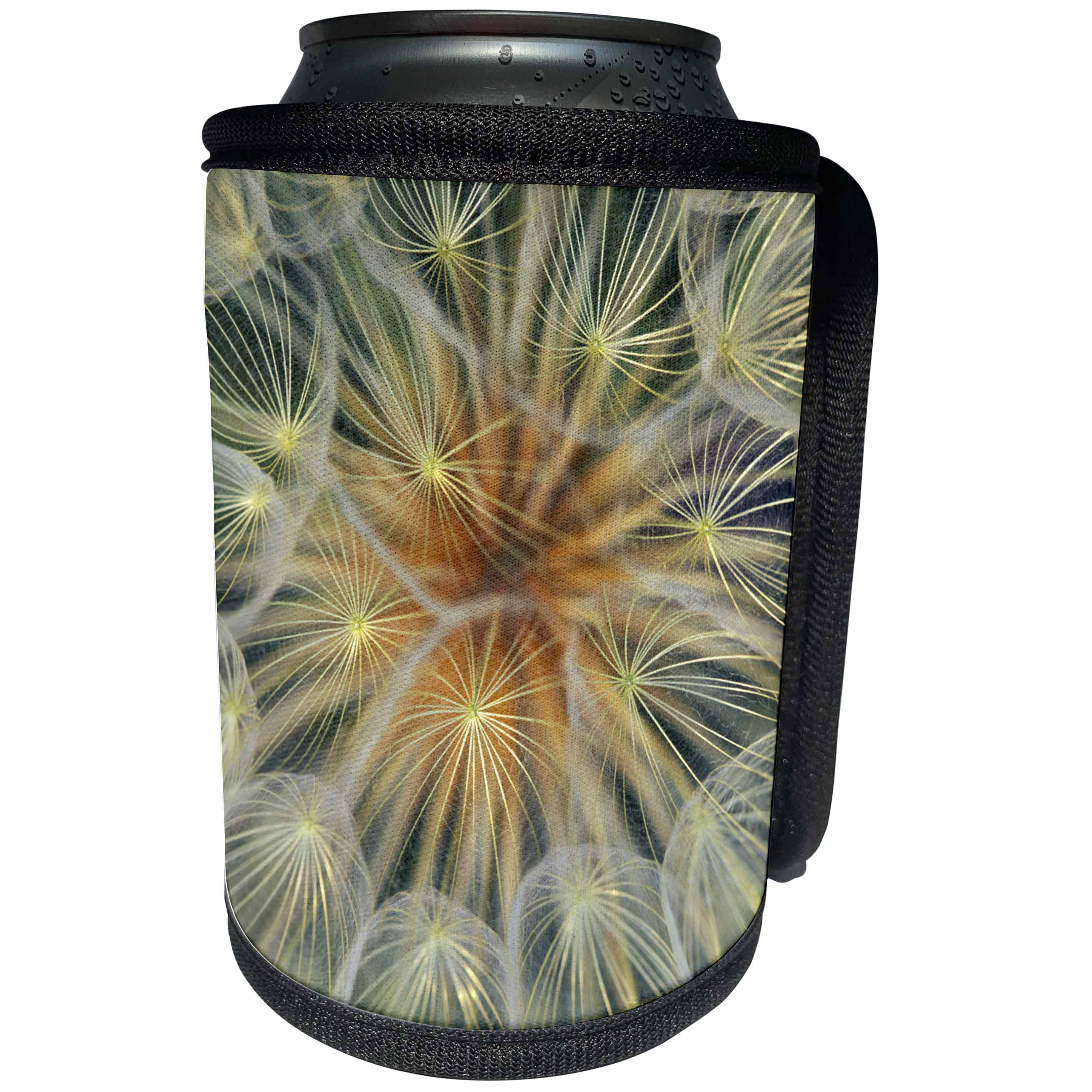 3dRose Danita Delimont - Abstract - USA, Pennsylvania. Dandelion seedhead close-up. - Can Cooler Bottle Wrap (cc_231549)