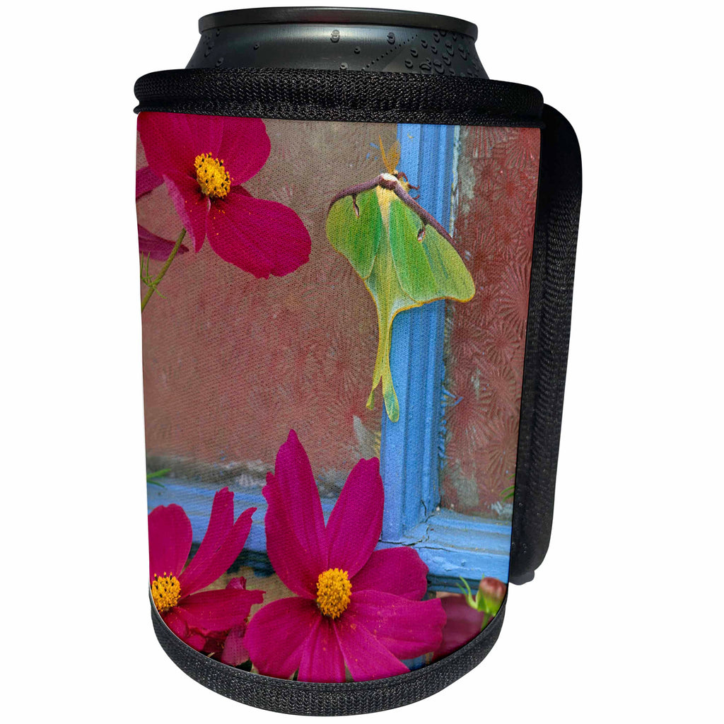 3dRose Danita Delimont - Butterfly - USA, Pennsylvania. Luna moth on old window with cosmos flowers. - Can Cooler Bottle Wrap (cc_231555)