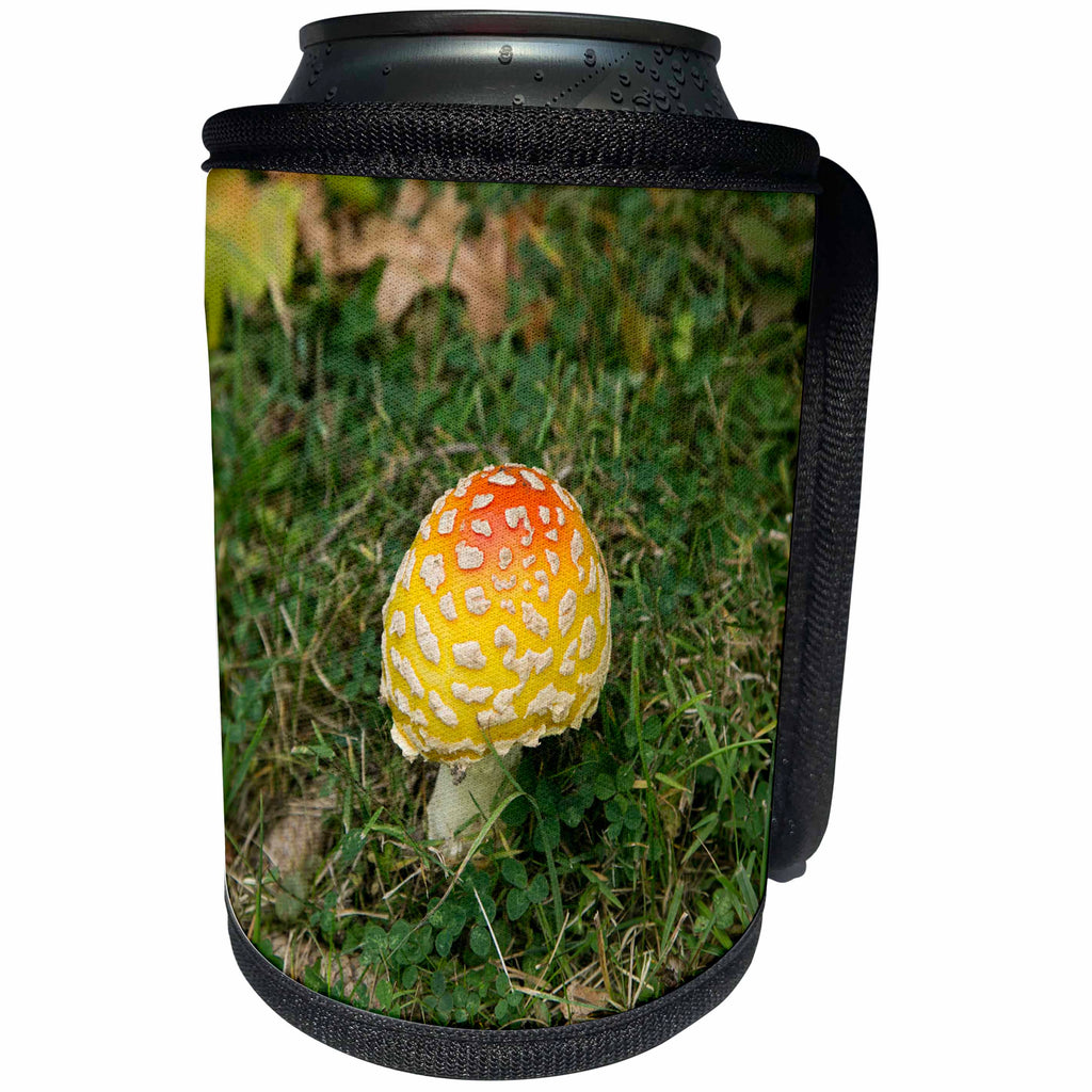 3dRose Danita Delimont - Mushrooms - Pittsburgh, PA, USA. - Can Cooler Bottle Wrap (cc_231565)