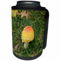 3dRose Danita Delimont - Mushrooms - Pittsburgh, PA, USA. - Can Cooler Bottle Wrap (cc_231565)