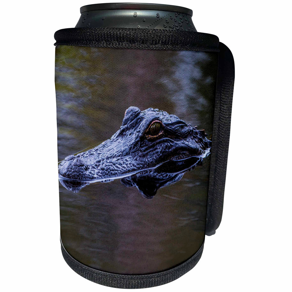 3dRose Danita Delimont - Reptile - USA, South Carolina, Charleston. Alligator head on pond surface. - Can Cooler Bottle Wrap (cc_231572)