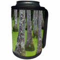 3dRose Danita Delimont - Swamp - USA, South Carolina, Charleston. Tupelo trees in swamp water. - Can Cooler Bottle Wrap (cc_231574)