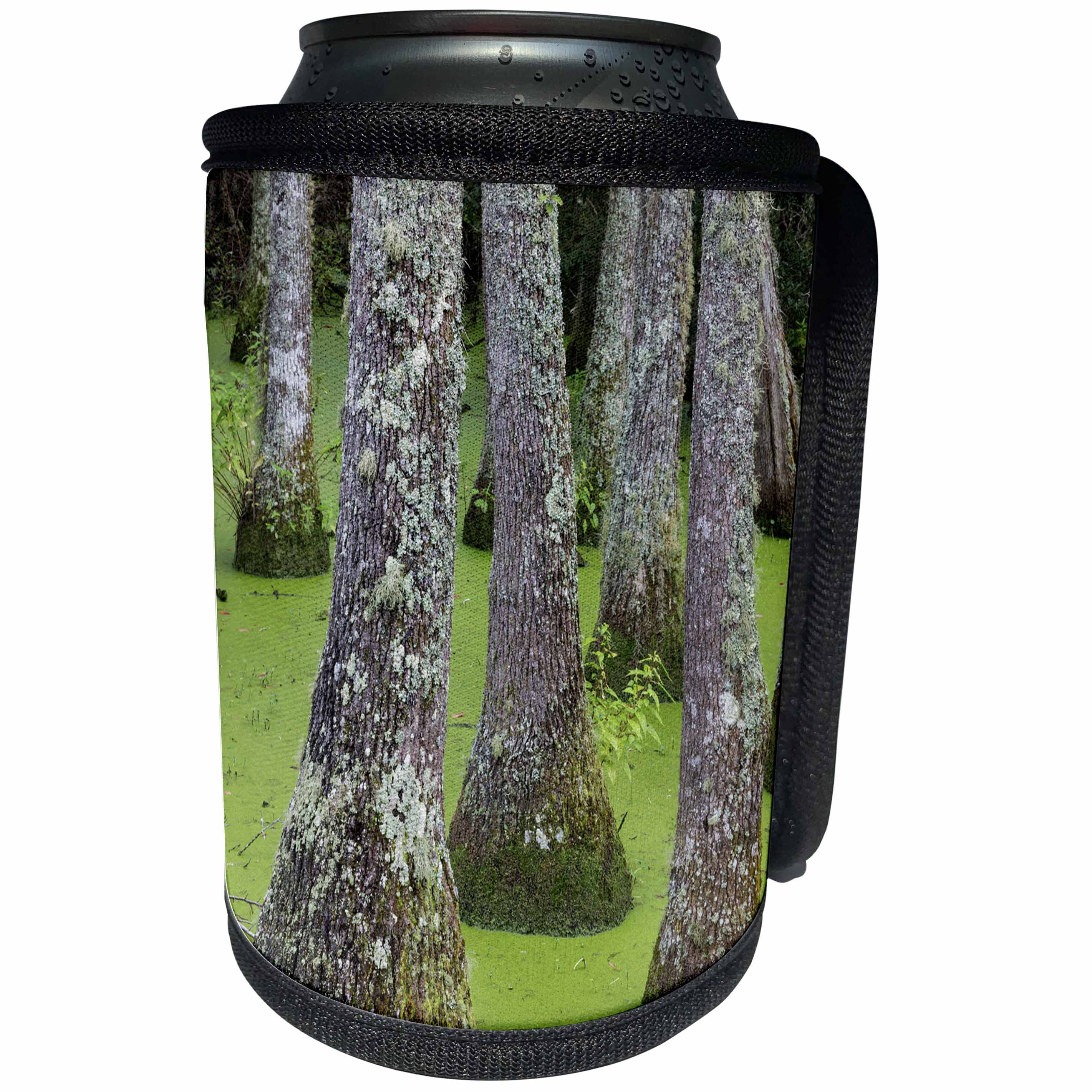 3dRose Danita Delimont - Swamp - USA, South Carolina, Charleston. Tupelo trees in swamp water. - Can Cooler Bottle Wrap (cc_231574)