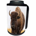 3dRose Danita Delimont - Animals - USA, South Dakota, Custer State Park. Bison and snowflakes. - Can Cooler Bottle Wrap (cc_231578)