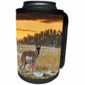 3dRose Danita Delimont - Animals - USA, South Dakota, Custer State Park. Pronghorn antelope at sunrise. - Can Cooler Bottle Wrap (cc_231579)