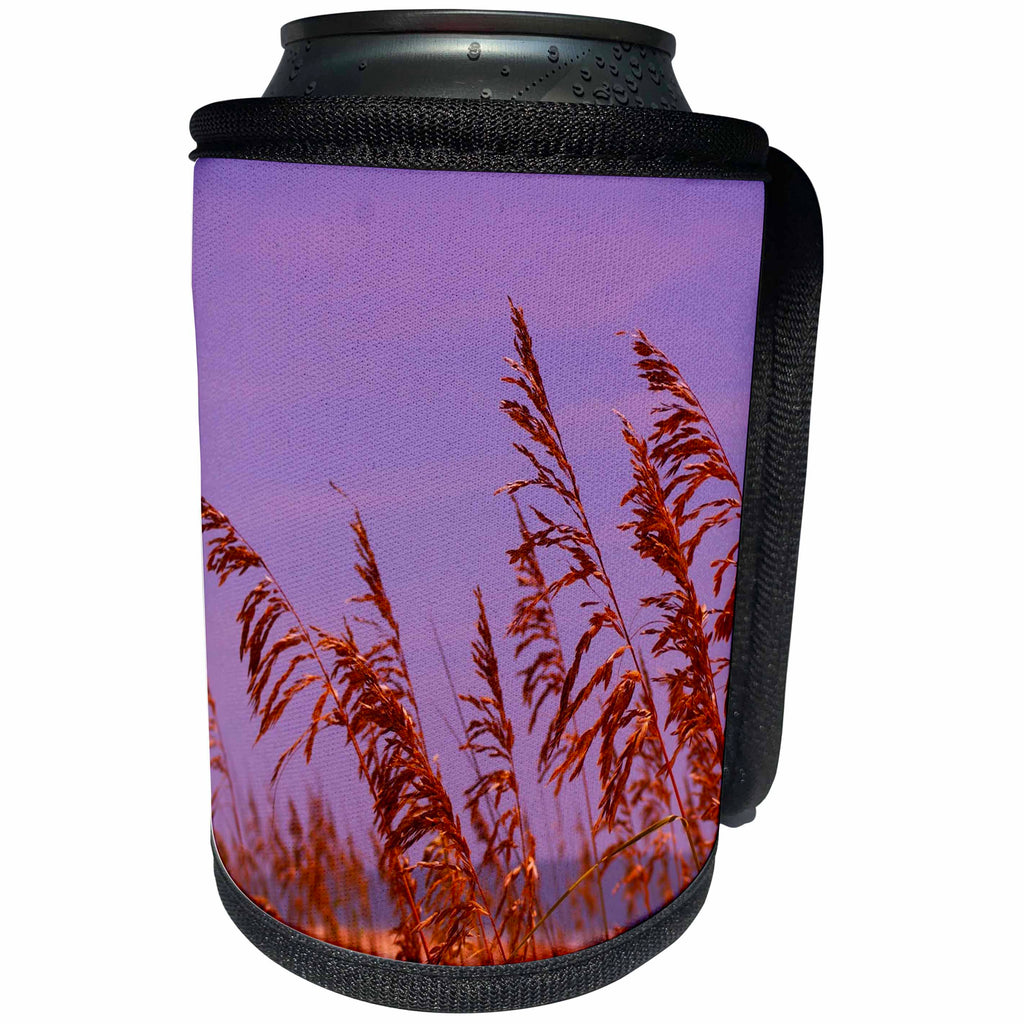3dRose Florene Tropical Landscape - Windy Sea Oats - Can Cooler Bottle Wrap (cc_23158)