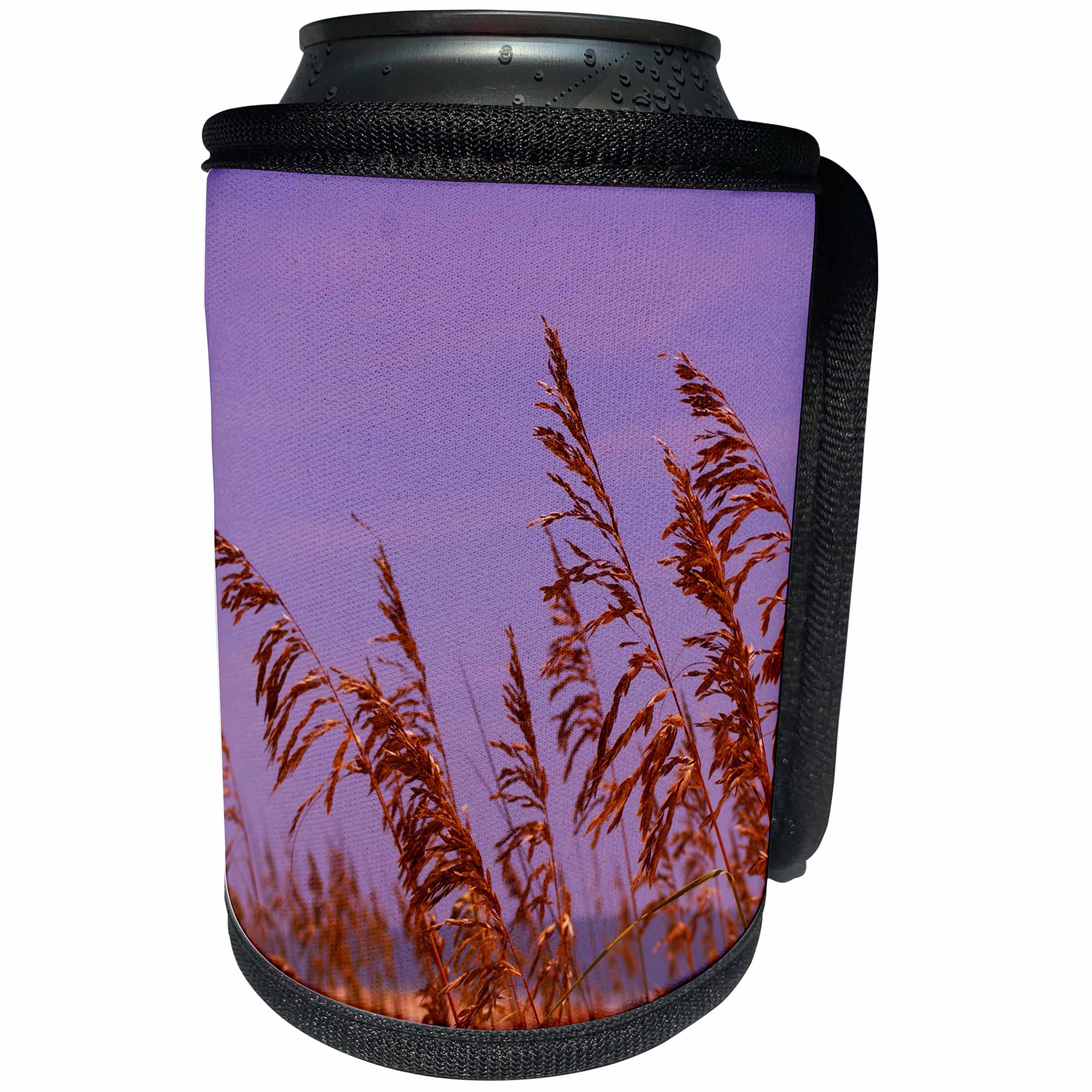 3dRose Florene Tropical Landscape - Windy Sea Oats - Can Cooler Bottle Wrap (cc_23158)