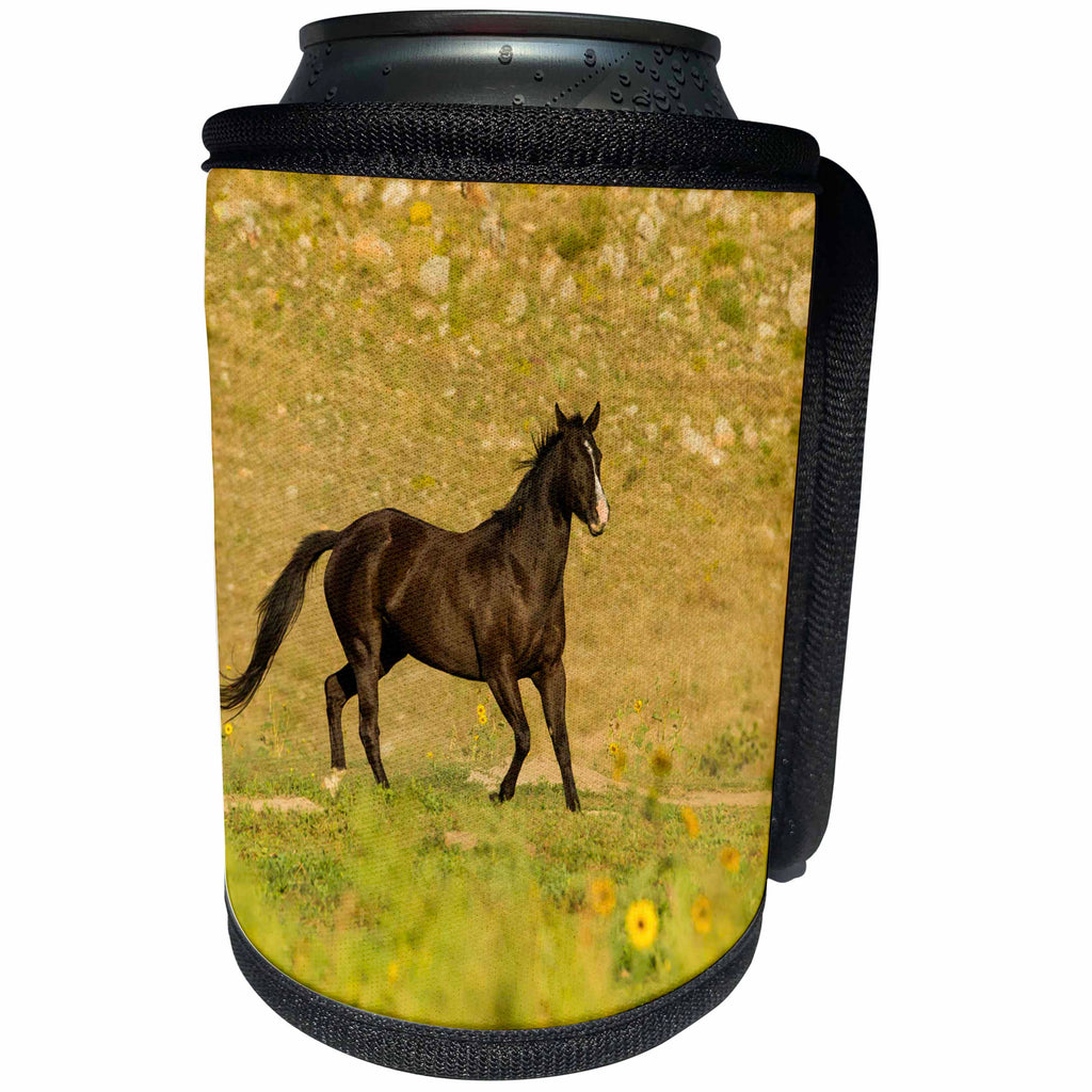 3dRose Danita Delimont - Horses - USA, South Dakota, Wild Horse Sanctuary. Wild horse in field. - Can Cooler Bottle Wrap (cc_231581)
