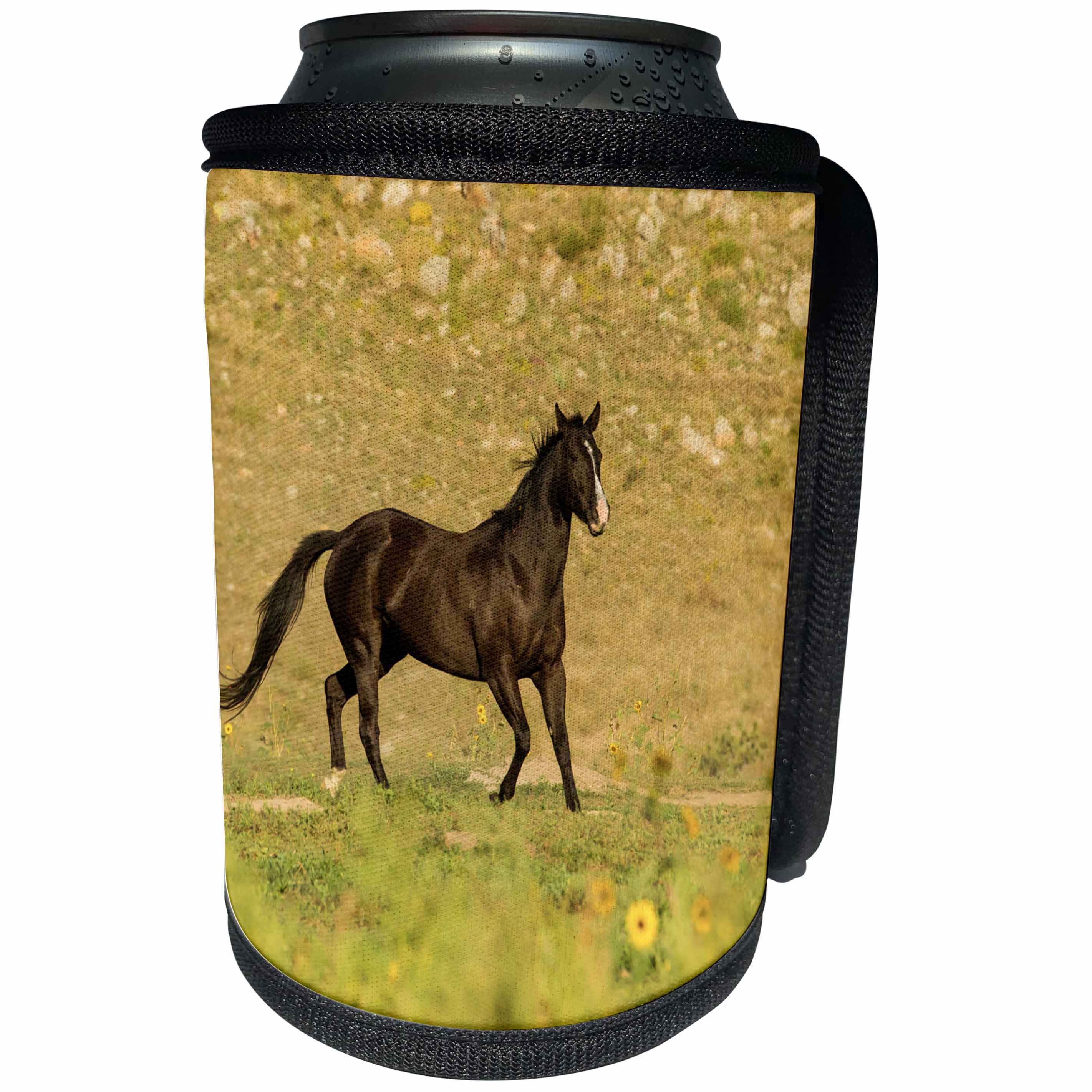 3dRose Danita Delimont - Horses - USA, South Dakota, Wild Horse Sanctuary. Wild horse in field. - Can Cooler Bottle Wrap (cc_231581)