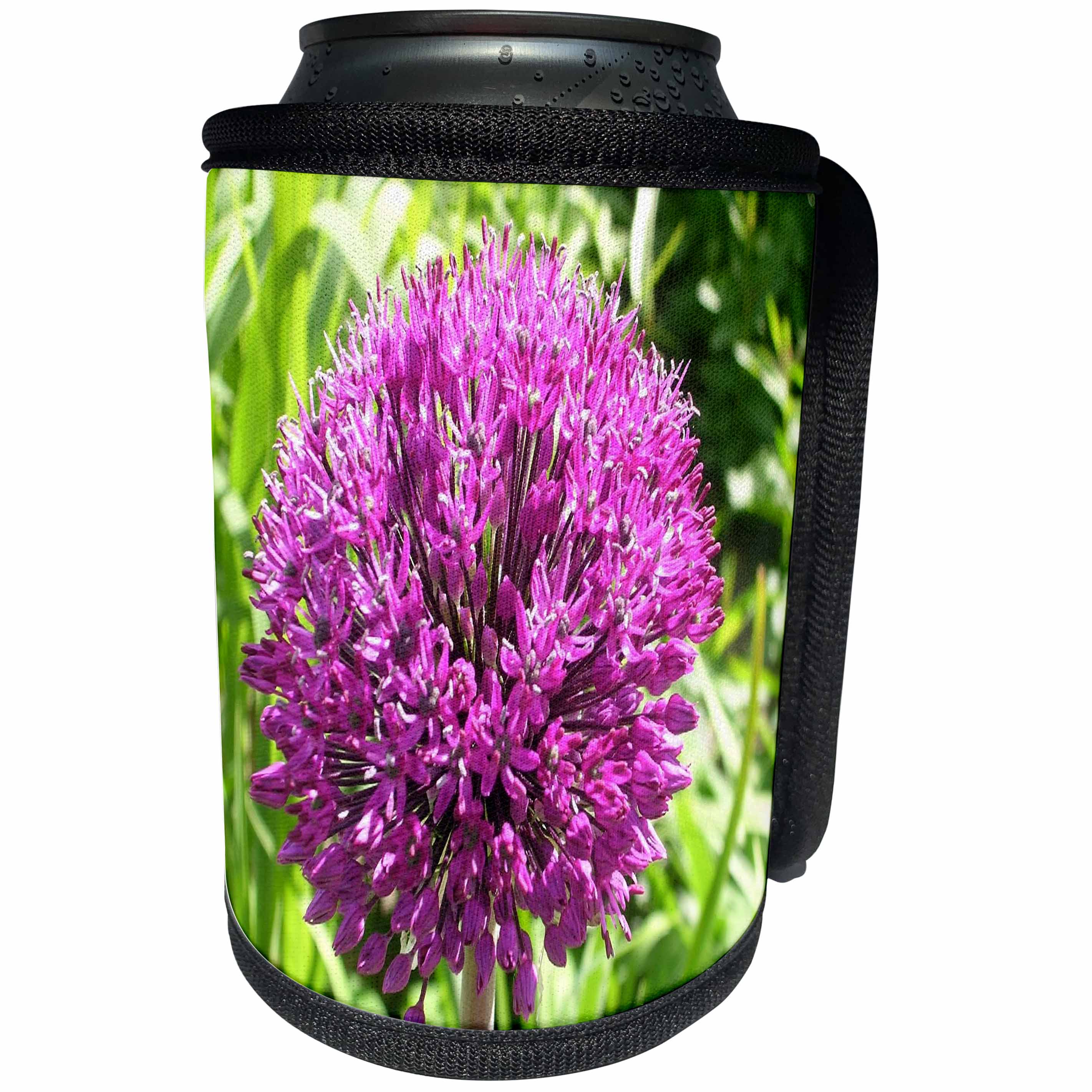 3dRose Ann Euell Flowers - Purple flower in Sweden - Can Cooler Bottle Wrap (cc_23224)