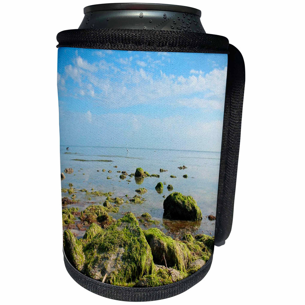 3dRose Ann Euell Key West FL - Seaweed rocks in water - Can Cooler Bottle Wrap (cc_23229)