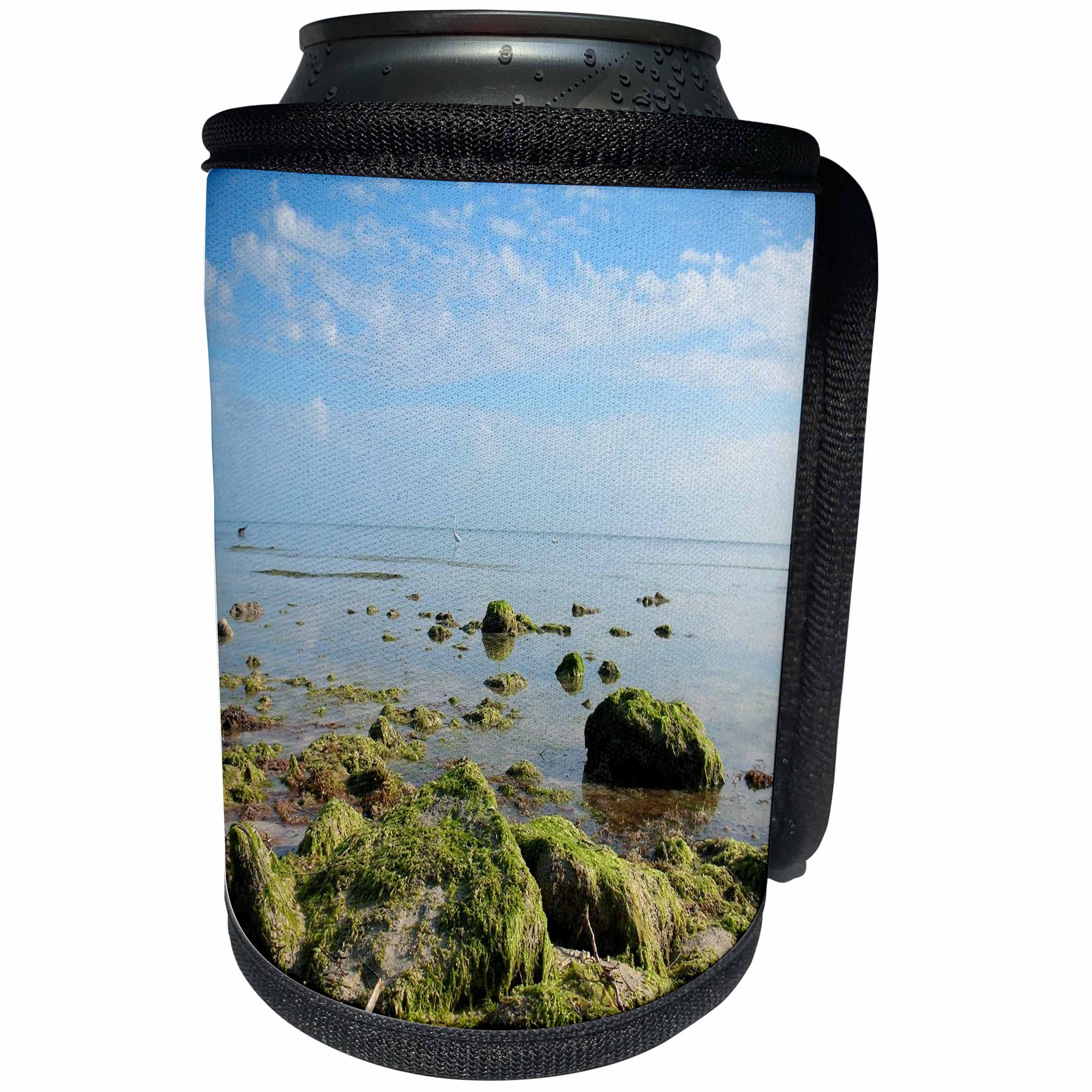 3dRose Ann Euell Key West FL - Seaweed rocks in water - Can Cooler Bottle Wrap (cc_23229)