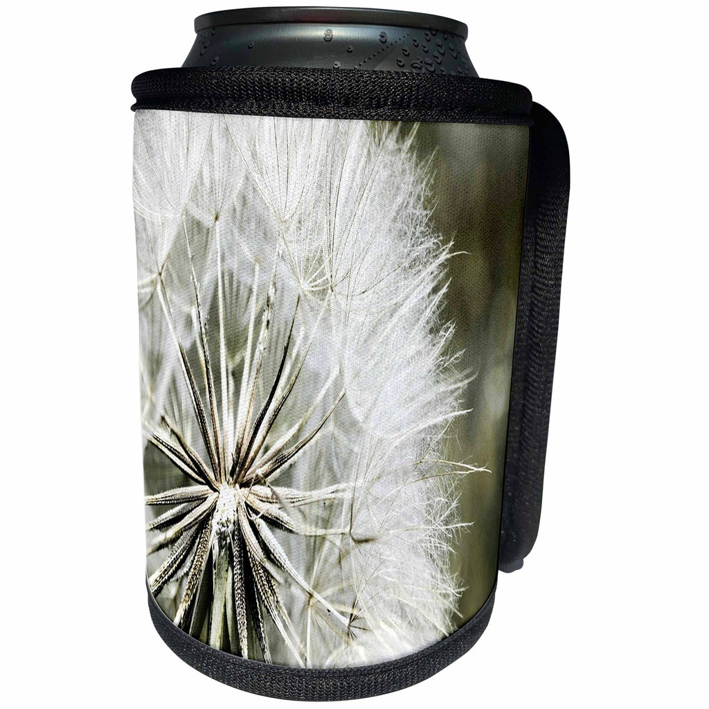3dRose Florene - Macro Plants - Image of Dandelion Close Up - Can Cooler Bottle Wrap (cc_233013)