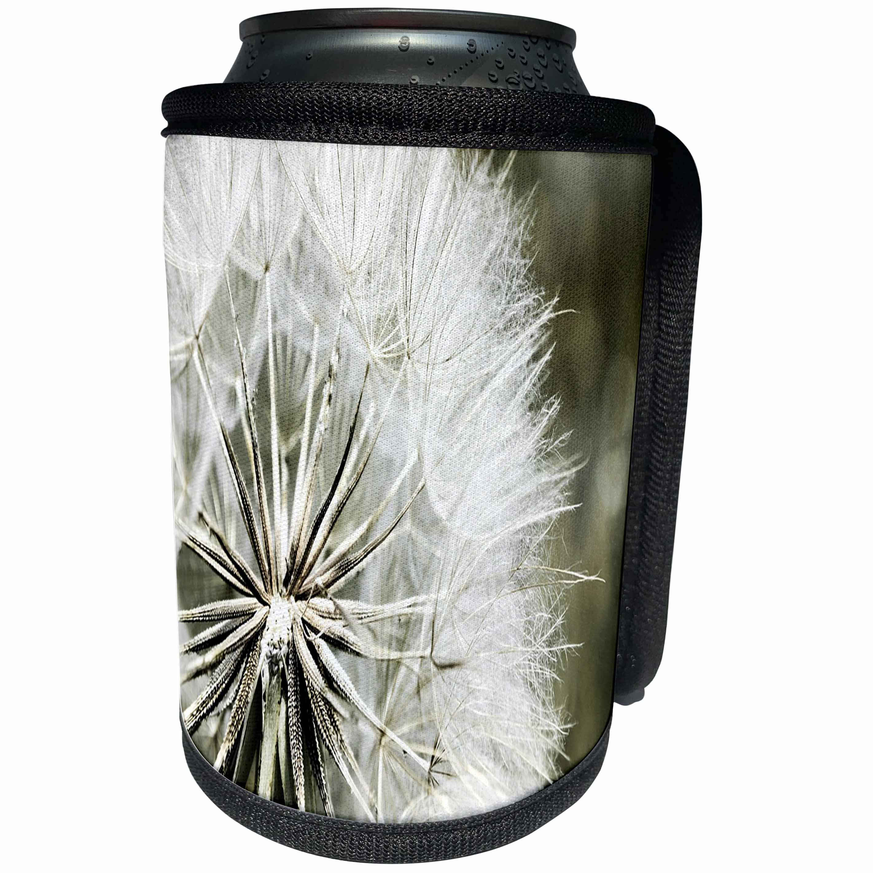 3dRose Florene - Macro Plants - Image of Dandelion Close Up - Can Cooler Bottle Wrap (cc_233013)