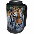 3dRose Sven Herkenrath Animal - Wildlife Tiger - Can Cooler Bottle Wrap (cc_233999)