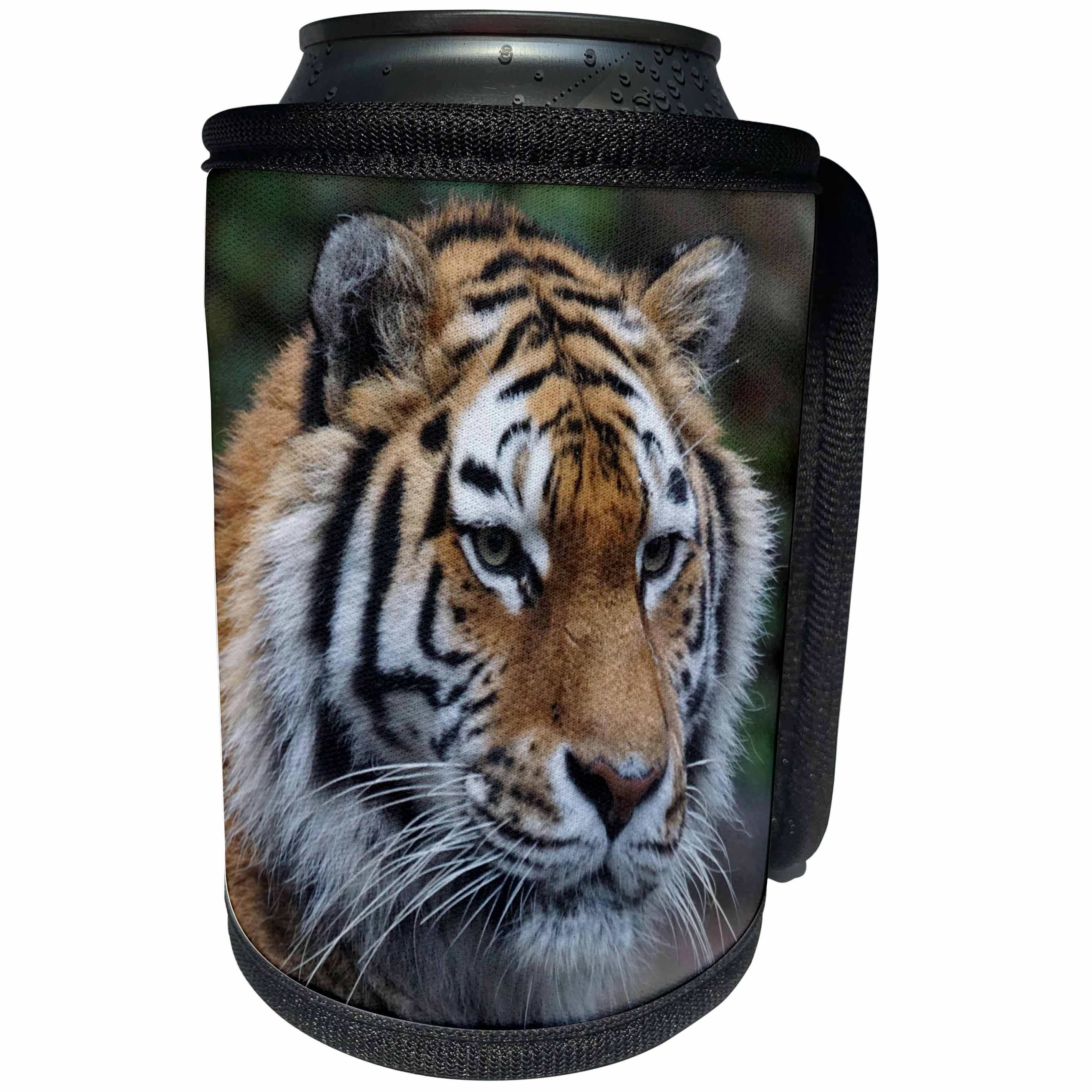 3dRose Sven Herkenrath Animal - Wildlife Tiger - Can Cooler Bottle Wrap (cc_233999)
