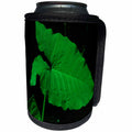 3dRose Florene - Plant - Image of Huge Florida Elephant Ear Plant On Black - Can Cooler Bottle Wrap (cc_234068)