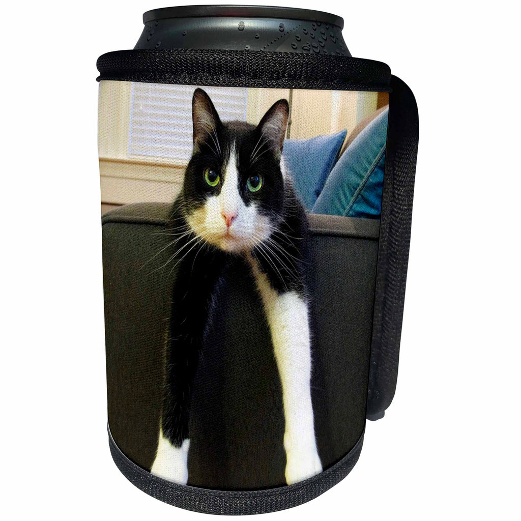 3dRose TNMGraphics Animals - Black and White Cat with Nothing to Do - Can Cooler Bottle Wrap (cc_23450)