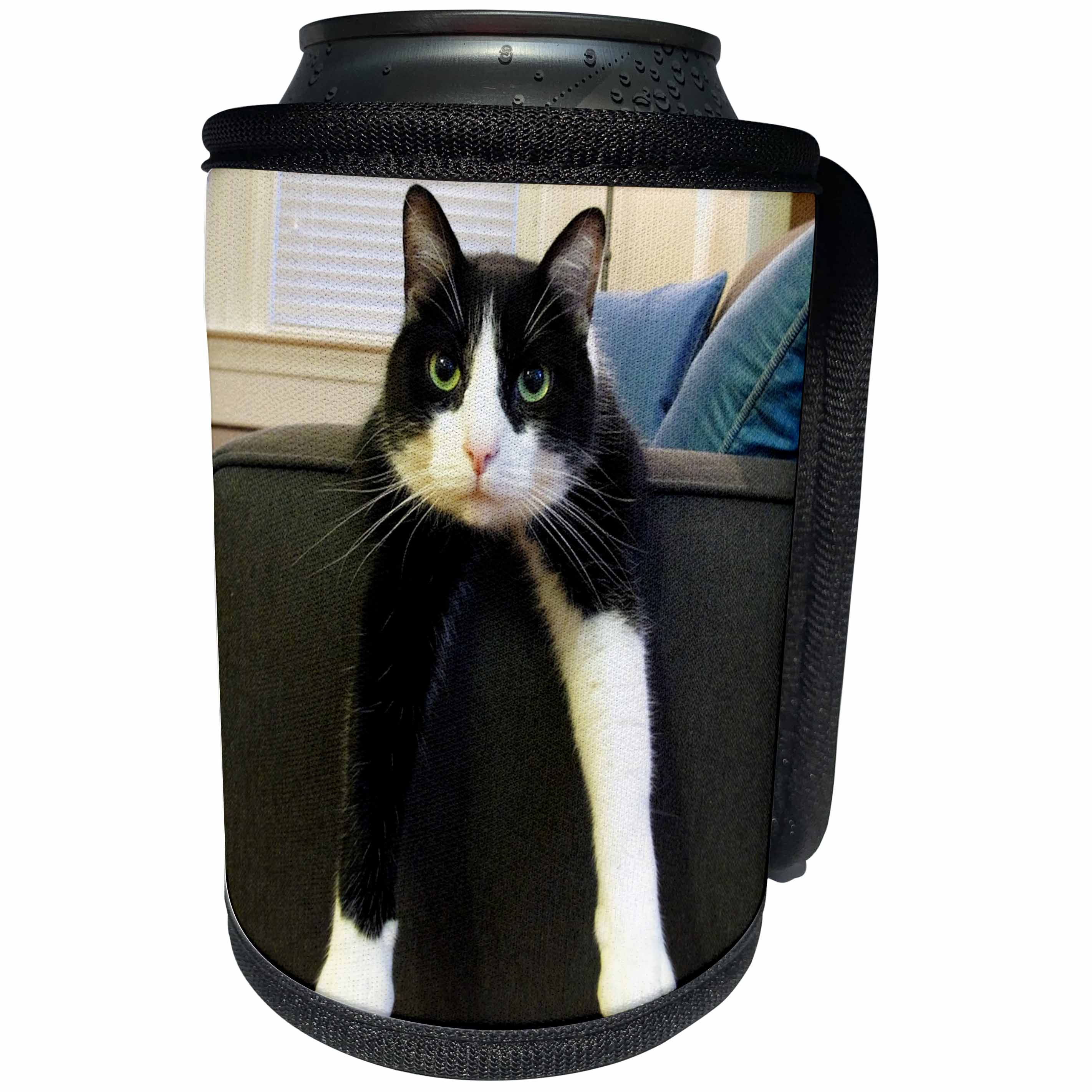 3dRose TNMGraphics Animals - Black and White Cat with Nothing to Do - Can Cooler Bottle Wrap (cc_23450)