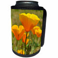 3dRose Patricia Sanders Flowers - poppies in spring II - Can Cooler Bottle Wrap (cc_23515)
