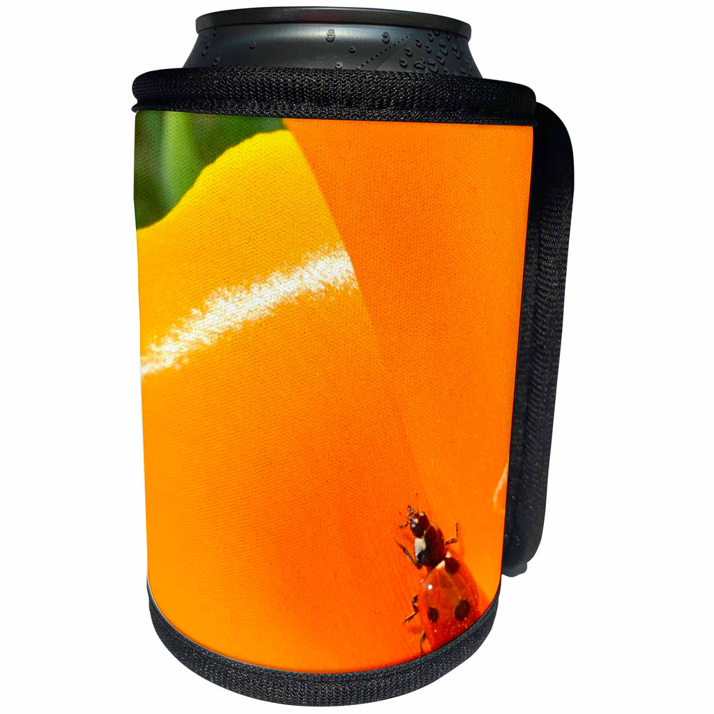3dRose Patricia Sanders Flowers - ladybug inside a poppy - Can Cooler Bottle Wrap (cc_23517)