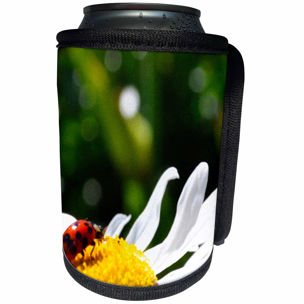 3dRose Patricia Sanders Flowers - ladybug on a daisy - Can Cooler Bottle Wrap (cc_23518)