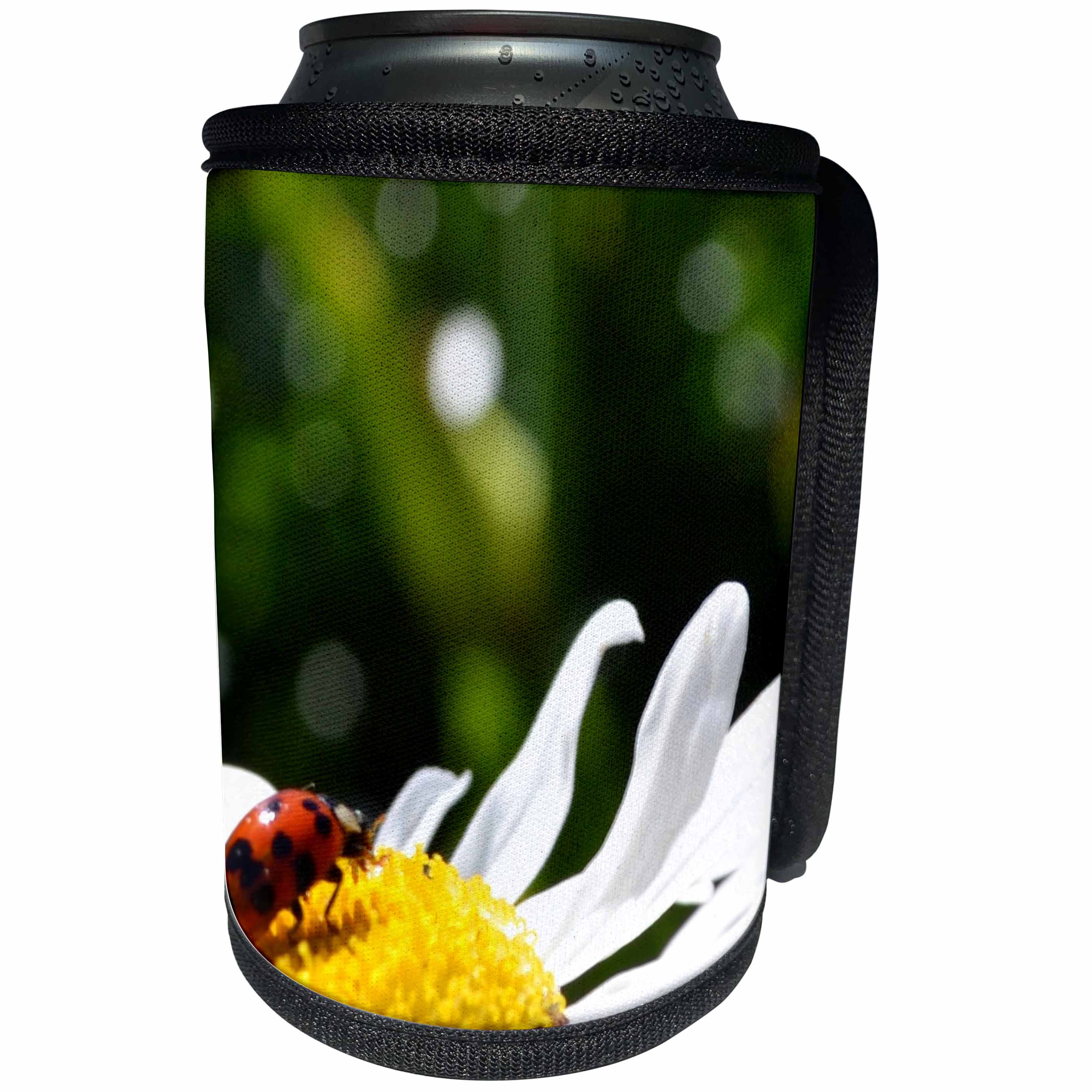 3dRose Patricia Sanders Flowers - ladybug on a daisy - Can Cooler Bottle Wrap (cc_23518)