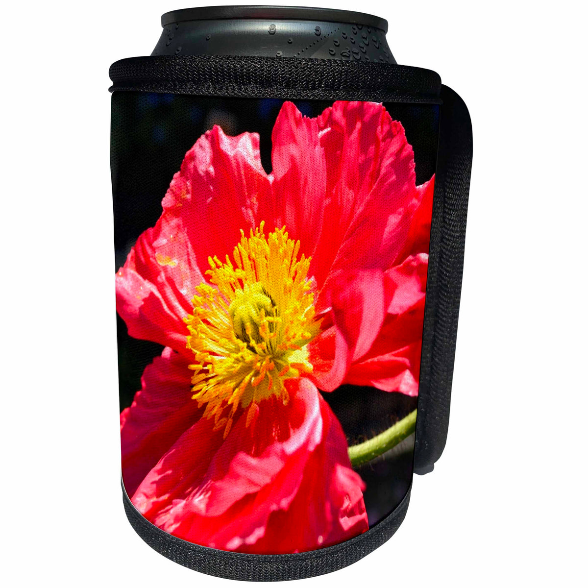 3dRose Patricia Sanders Flowers - deep orange iceland poppy II - Can Cooler Bottle Wrap (cc_23573)