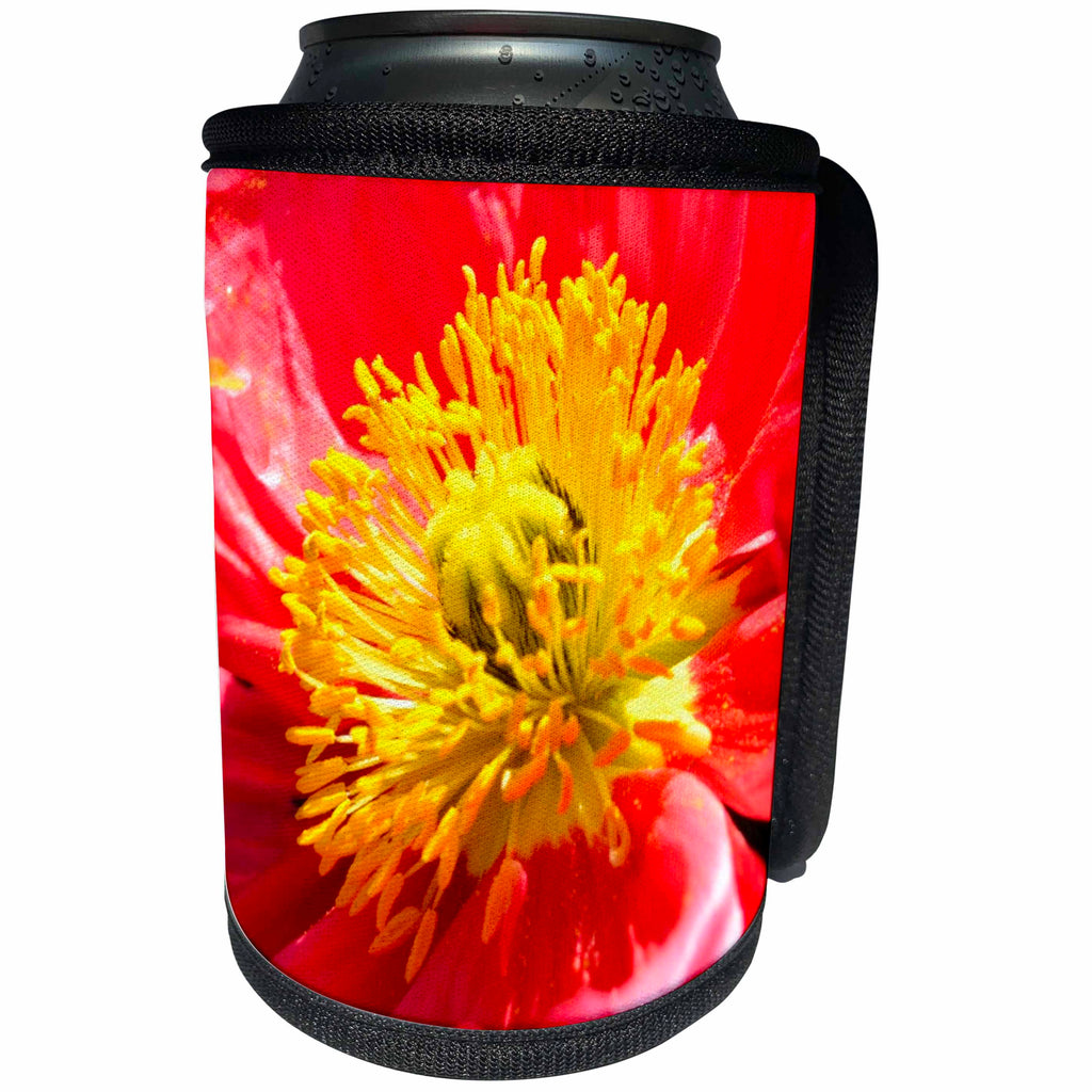3dRose Patricia Sanders Flowers - deep orange iceland poppy III - Can Cooler Bottle Wrap (cc_23574)