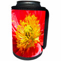 3dRose Patricia Sanders Flowers - deep orange iceland poppy III - Can Cooler Bottle Wrap (cc_23574)