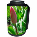 3dRose Patricia Sanders Flowers - Inspirational Pink Tulip - Can Cooler Bottle Wrap (cc_23646)