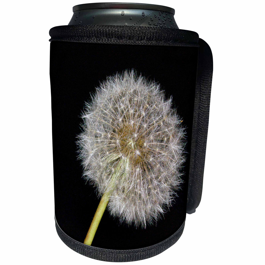 3dRose Sven Herkenrath Flower - Macro Dandelion in the Front - Can Cooler Bottle Wrap (cc_236461)