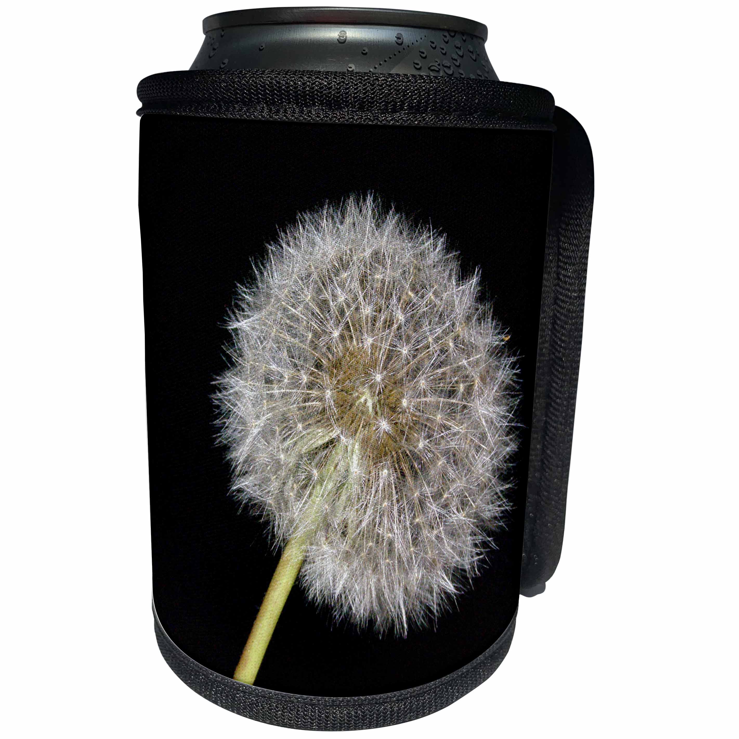 3dRose Sven Herkenrath Flower - Macro Dandelion in the Front - Can Cooler Bottle Wrap (cc_236461)