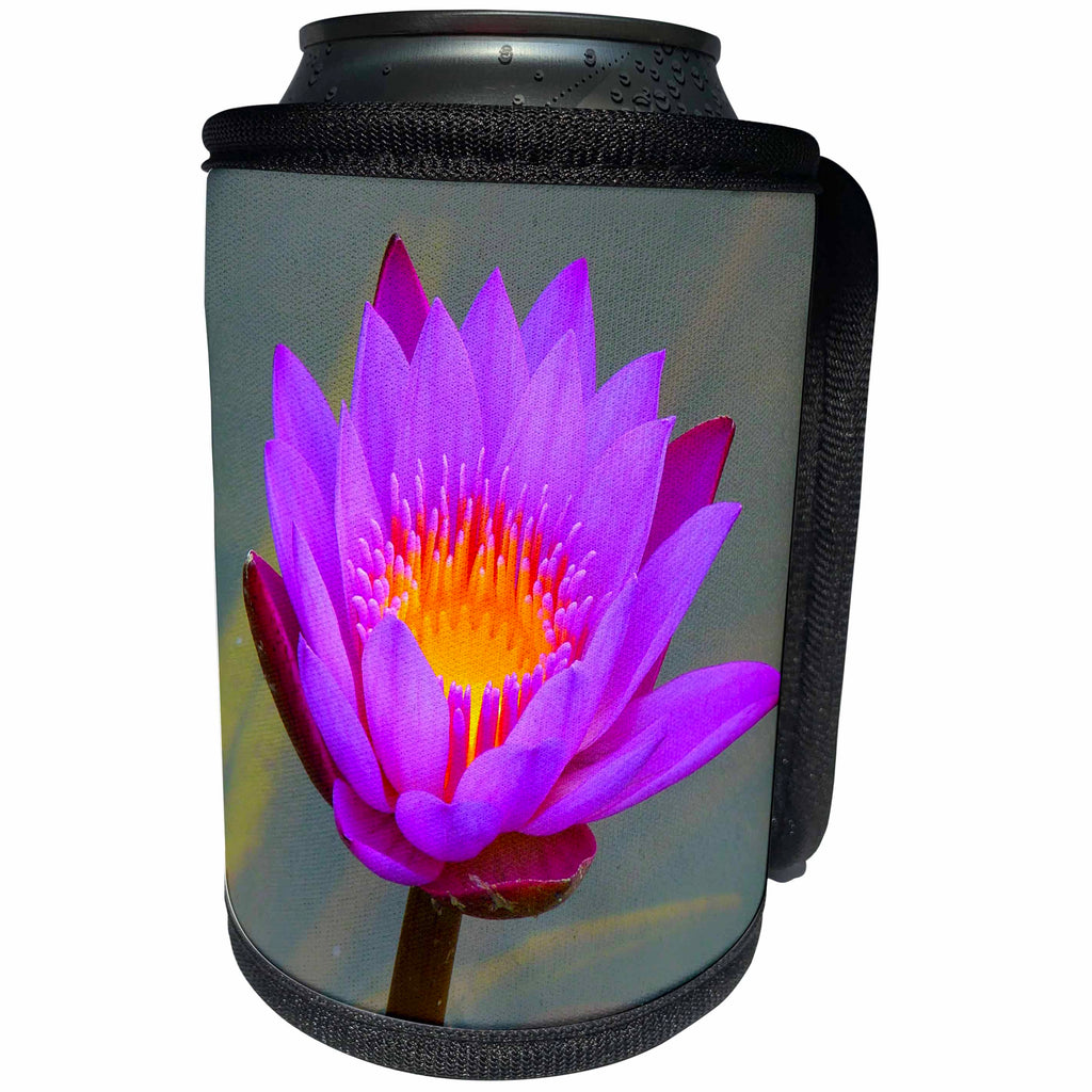 3dRose Sven Herkenrath Buddha - Blue Asia Lotus Flower - Can Cooler Bottle Wrap (cc_236481)