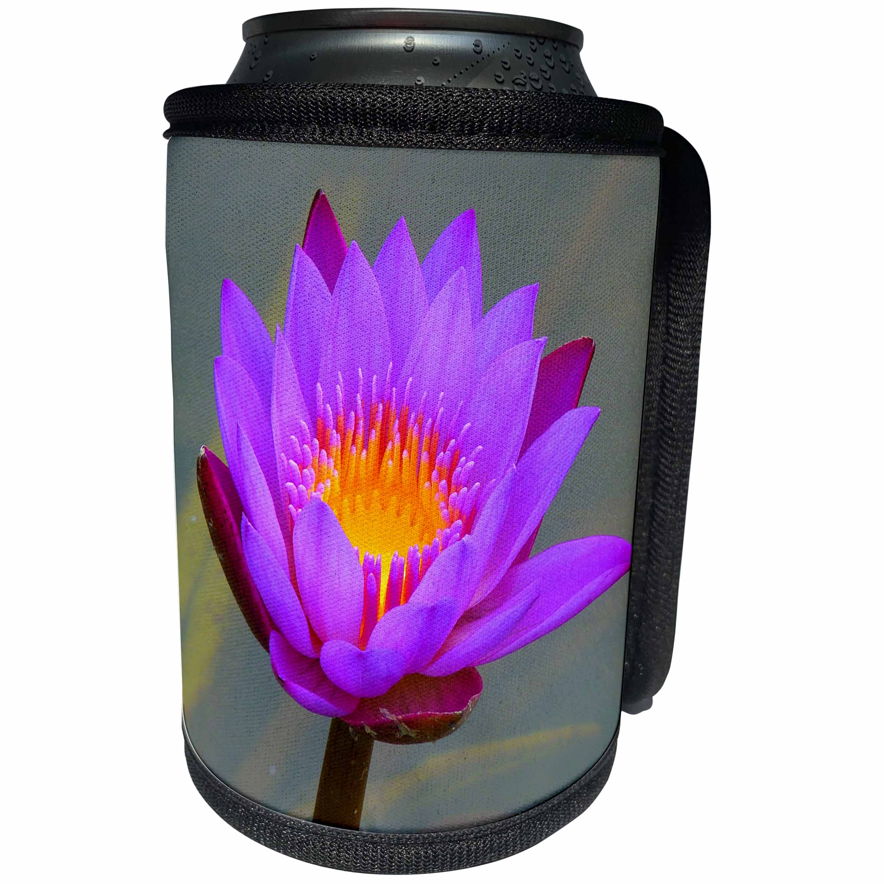3dRose Sven Herkenrath Buddha - Blue Asia Lotus Flower - Can Cooler Bottle Wrap (cc_236481)