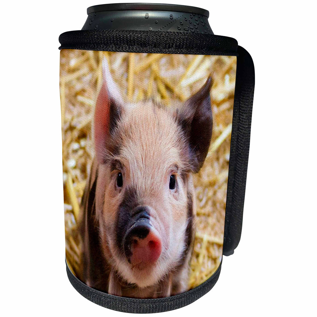 3dRose Sven Herkenrath Animal - Lovely Farm Baby Pig - Can Cooler Bottle Wrap (cc_236497)