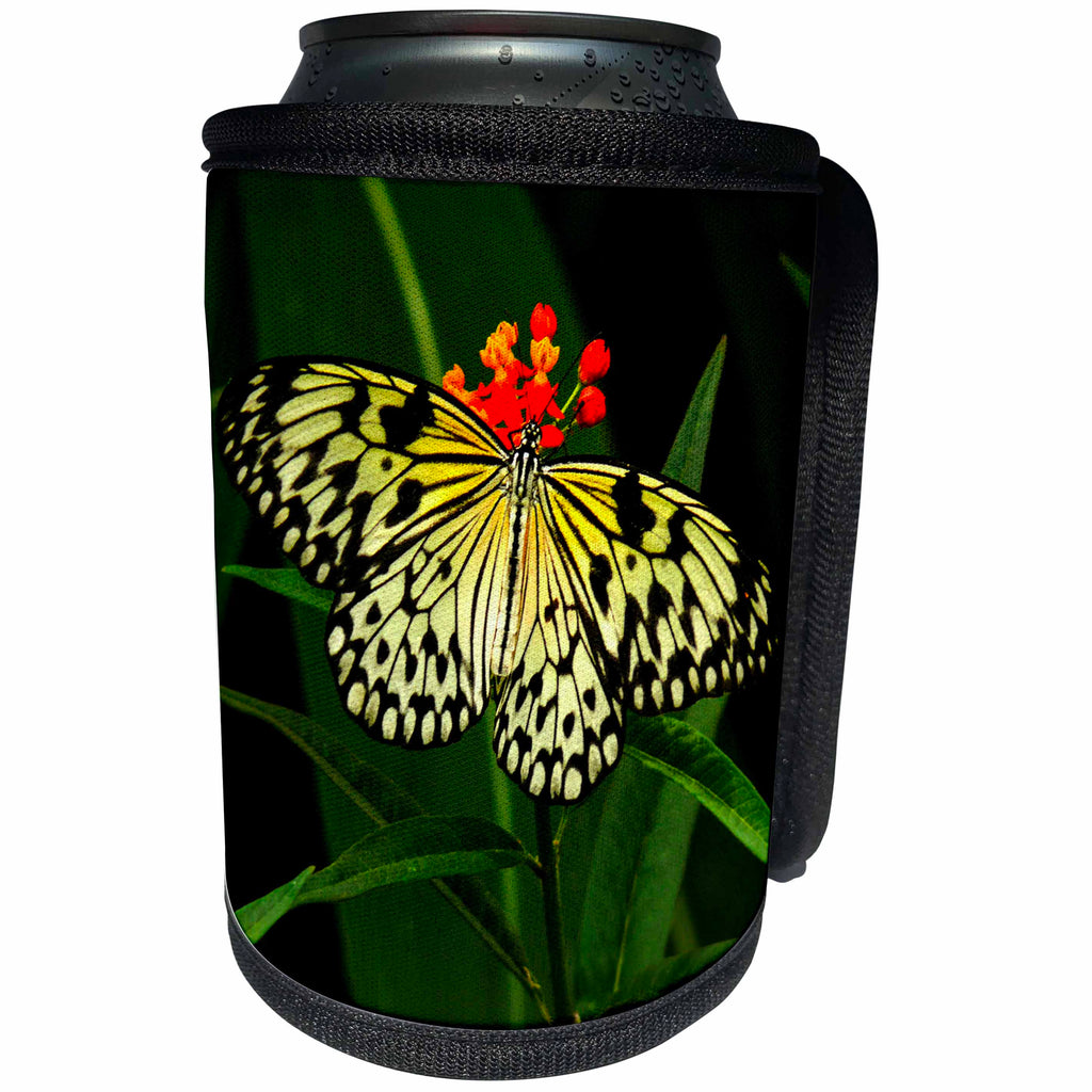 3dRose Sven Herkenrath Butterfly - Yellow Butterfly on Flower - Can Cooler Bottle Wrap (cc_236501)