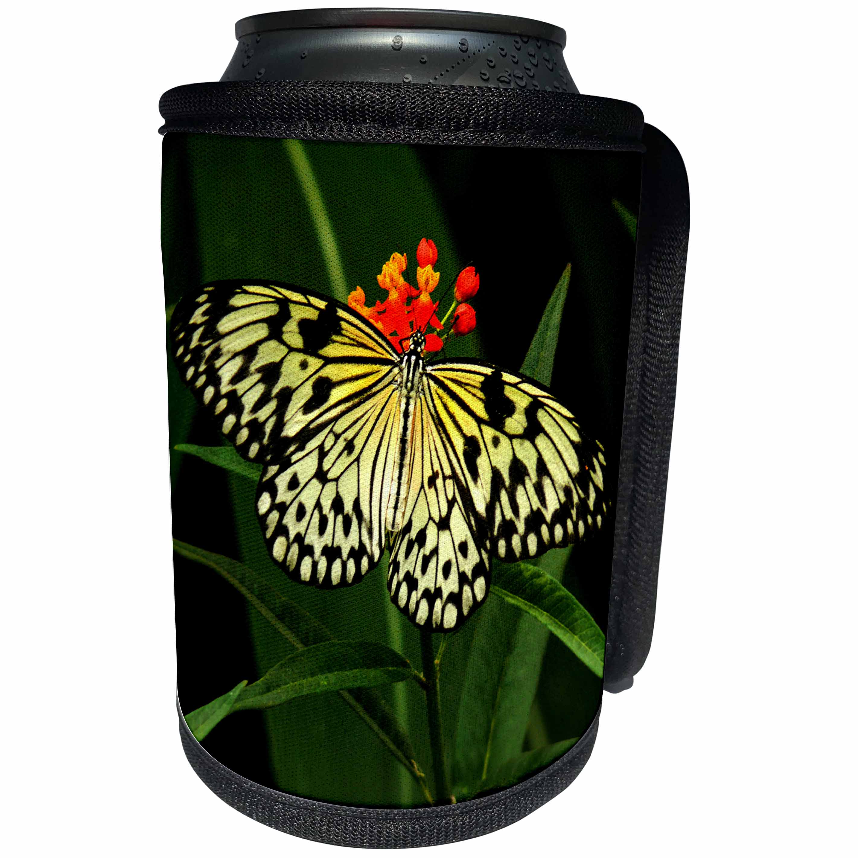 3dRose Sven Herkenrath Butterfly - Yellow Butterfly on Flower - Can Cooler Bottle Wrap (cc_236501)