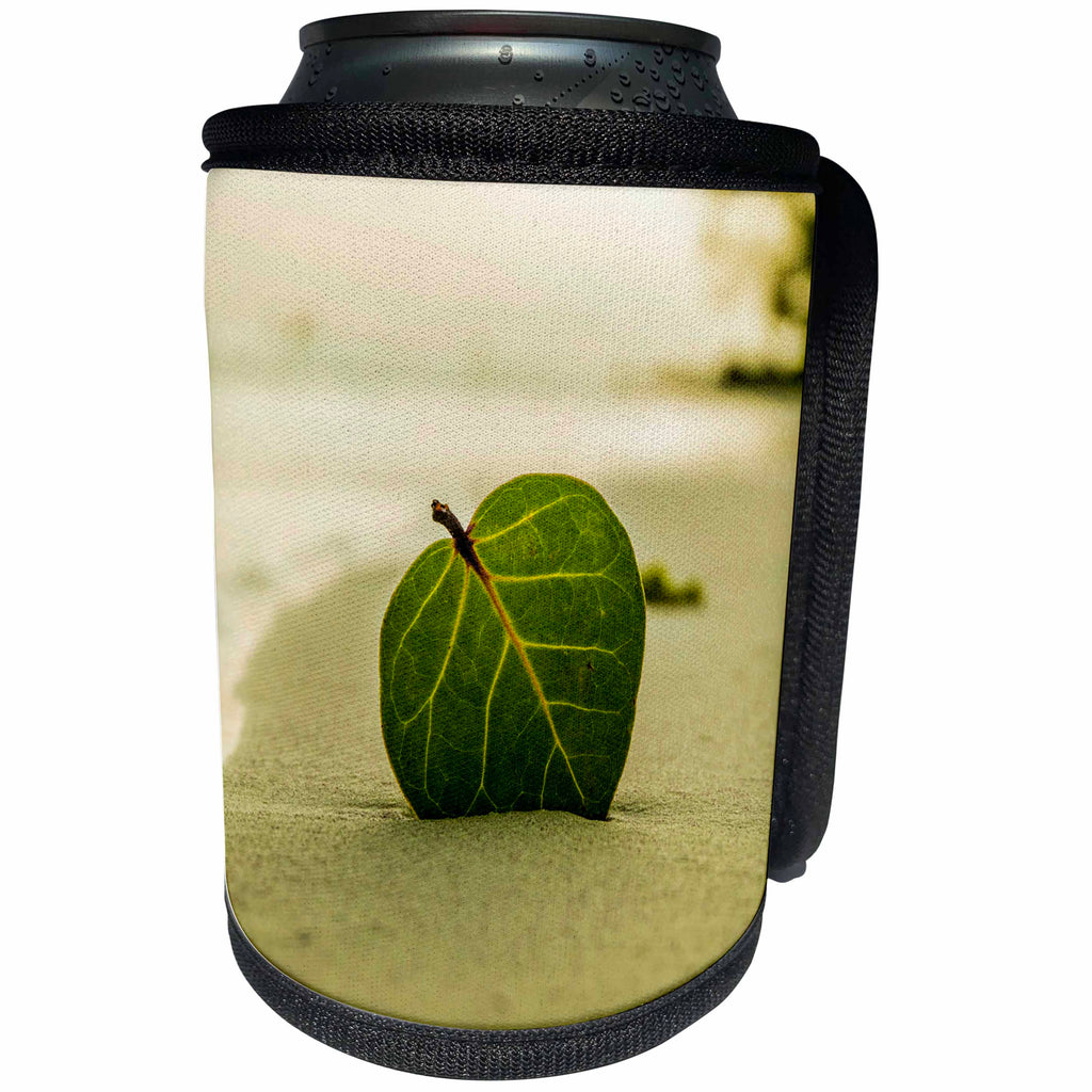 3dRose Sven Herkenrath Nature - Green Leaf at the Beach - Can Cooler Bottle Wrap (cc_236511)