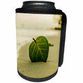 3dRose Sven Herkenrath Nature - Green Leaf at the Beach - Can Cooler Bottle Wrap (cc_236511)