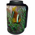 3dRose Sven Herkenrath Sealife - Modern Fish in the Sealife - Can Cooler Bottle Wrap (cc_236535)