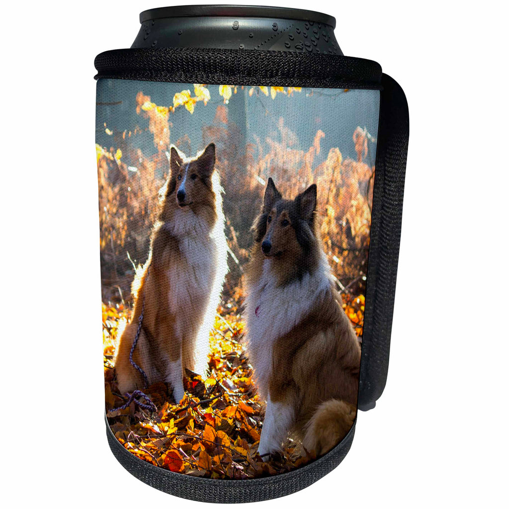 3dRose Sven Herkenrath Dog - Two Collies in the Nature - Can Cooler Bottle Wrap (cc_236536)